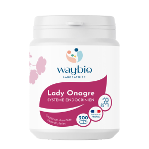 Lady Onagre