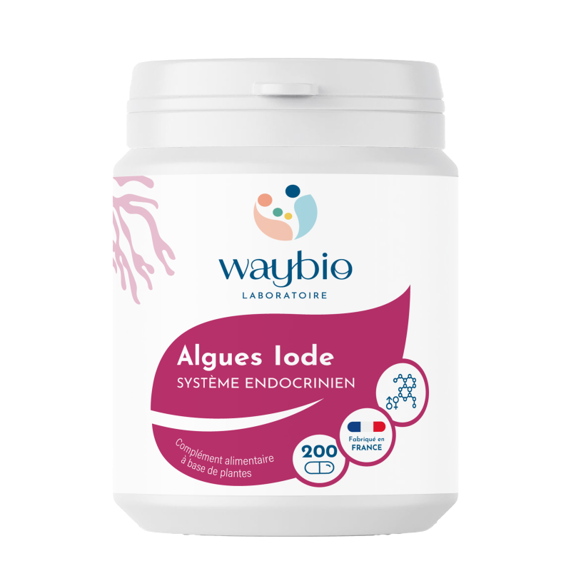 Algues Iode
