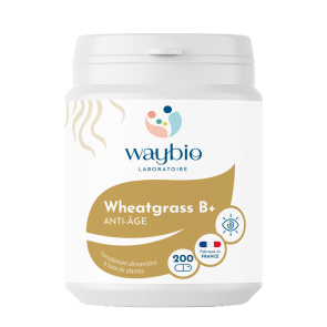 Wheatgrass B+