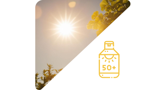 Cosmétique